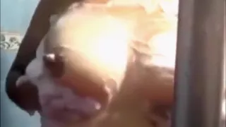 Espiando a Vecina tetona esposa infiel mexicana chichona sabrosa