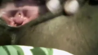 extreme pussy closeup