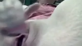 Hottest Amateur movie with Close-up, Solo scenes