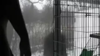 Amateursex, Sex im Freien, Softcoresex