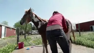 Incredible Amateur record with Outdoor, Voyeur scenes