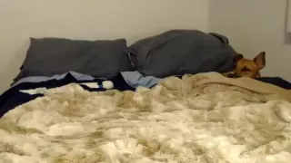 Funcpl22 secret clip on 10/15/14 12:51 from Chaturbate