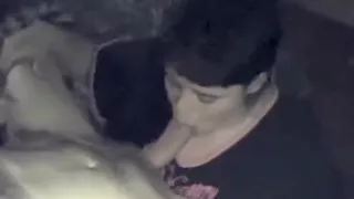 Wife Giving Her Partner A Pleasant Blowjob