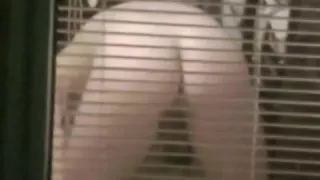 Screen voyeur that is excellent