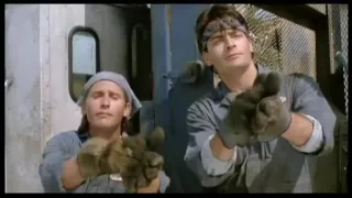 Fabulous amateur Celebrities adult clip