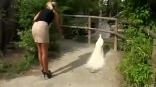 Incredible Amateur record with Outdoor, Non Nude scenes