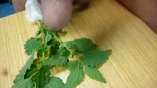 Amaterji, Noro, Geji, Samozadovoljevanje, Solo