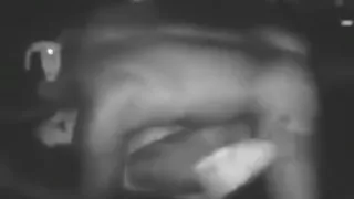 Amazing Homemade video with Couple, Amateur scenes