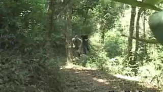 Heiße und geile Latino-Schwule Bareback-Ficken