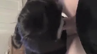 Halloween no hands blowjob from my girl