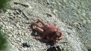 Best Homemade clip with Reality, Beach scenes