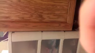 Today on the menu: an Asian pussy!