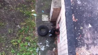 Amateurpaar beim Ficken im Freien erwischt