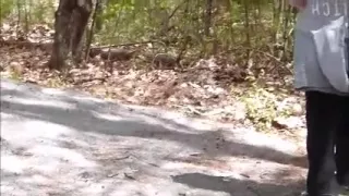 barely legal topless fuck buddy with her big tits in public on nature walk today