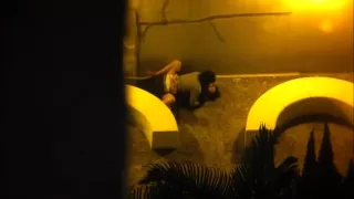 couple sex in public