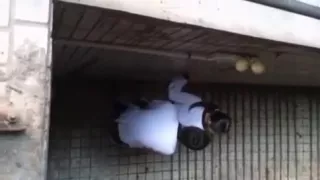 Chinese students stair fuck