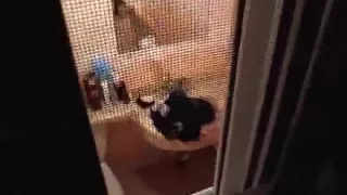 spy on Korean neighbor