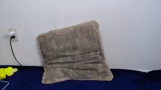 Big Massive Boobs In Webcam