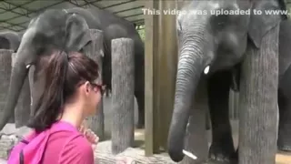 Amateur Girl's HOT Vacation Sex Tape