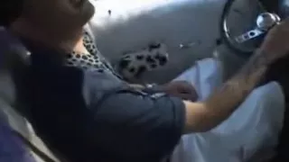 Ditzy Amateur By A Stranger's Cock