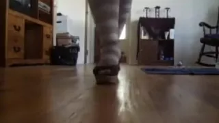 Gestreifte Socken und sexy Beine