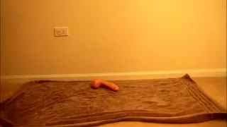 anal dildo fucking - part 3