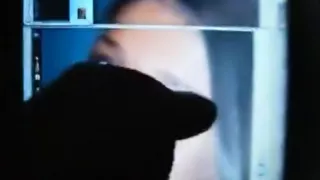 christinawolf profile facial tribute