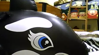 up close session with my black whale