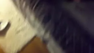 my favorite feet (mistress' yummy toes)