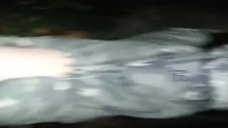 fucking my wife outdoor