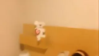 other blowjob swallow cum me lo trago todo