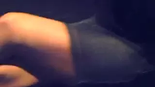 my girlfriend in shiny pantyhose