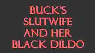buck s slut wife and her black dildo