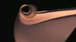 i let mine bodies spoil 1min21