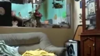 Exotic Amateur movie 1