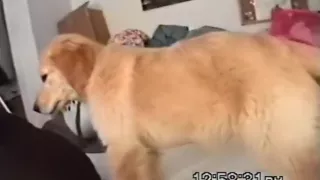 Sd - donna fucks her bf richard again in her dorm for a creampie