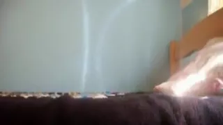 Sexy Brünette hat Oral-, Cowgirl- und Doggystyle-Sex.