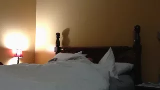 She may look nerdy, but she can ride some dick !!!