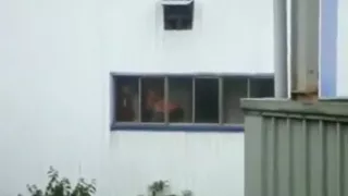 Voyeur captures a couple fucking in the factory, instead of working !!!