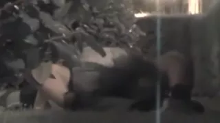 Voyeur nimmt eine Partyschlampe auf, die im Park missionarisch gefickt wird