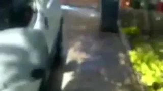 Washing the car turns into sex