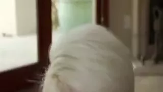 Blondine mit kurzen Haaren lutscht vor der Kamera