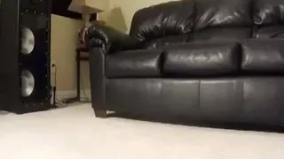 Hot bitch shakes her juicy ass with all the passion she has