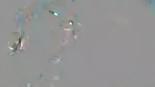 Neat and horny nympho is sucking on my dick like crazy