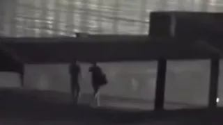 This chick is a bit of a nature girl and she enjoys having sex outdoors