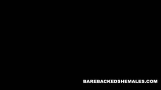 Sexy and Hot and Shemale Having Sex with Cute Guy