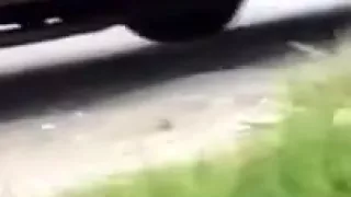 Enjoying Soft Vinyl Car Seat