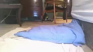 100starfox private video on 07/05/15 01:40 from Chaturbate