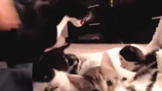 banginbrooke amateur record on 05/28/15 05:00 from Chaturbate