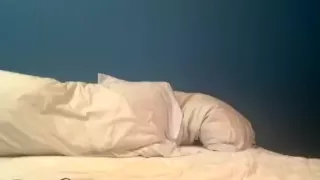 brittemb amateur record on 06/30/15 03:03 from Chaturbate